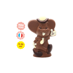 Mascotte Chocolat Lait 300G
