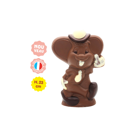 Mascotte Chocolat Lait 300G